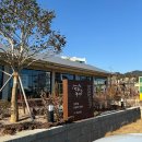 [부산] 기장 연화리 맛집 연화갈매기, 가족외식 추천/ 내돈내산 솔직후기
