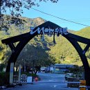 대아푸드 이미지