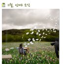 가람 독서회 | 11월, 인디고 소식
