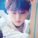 도현 이미지