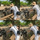 [당진] 서울근교 가볼만한곳-아그로랜드 태신목장 솔직후기!