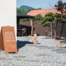 스테이 다래 이미지