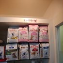 웰니스동물병원(고잔점) 네이버블로그