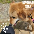 행복하개 | [공지] 동물보호소 봉사 후기 &#34;행복하개 쉼터&#34; 봉사 신청 및 후원