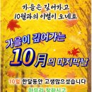 만추의 10월의 마지막 날! 문안인사 드립니다! 이미지