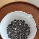 박쉐프 슈가네돈카츠 | [일상]250828 다이어트진짜핵노잼