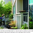 마당 이미지
