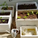 선래매운탕 이미지