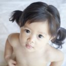 민들레사진관 이미지