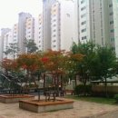 불당17길 이미지