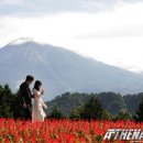 호텔아테나 이미지