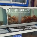 영덕강구항대게맛집이오하저점 네이버블로그