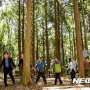 서귀포 치유의 숲 이미지