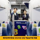 2025 에어로케이 자소서 첨삭 안내 (비용&amp;진행안내)