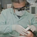 서울그린치과의원 이미지