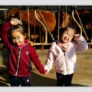 주촌농장 이미지