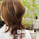 마곡 미용실 무제 헤어샵 정경 쌤 레이어드컷 염색 후기