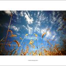 바람소리 이미지