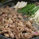 아우성 생오리 이미지