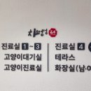 치료멍멍동물병원 이미지