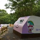 비슬산 숲속 오토캠핑장 이미지