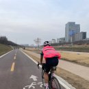 2023 한국 란도너스 서울 (서) 200k 브레베