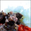 화정식당 이미지