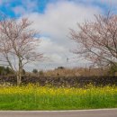 동부프라자 이미지