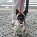 룰루랄라 이미지