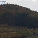 남면목장 이미지