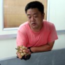 지장농장 이미지