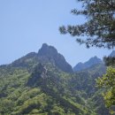 (주)코리아세븐 속초대포항점 | 속초 대포항 회 대게 전문 횟집 맛집 쌍둥이네 부모님과 방문 후기