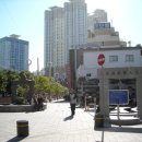 우장춘로 이미지