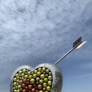 방아머리공원(솔밭) | 방아머리해수욕장 솔밭 칼국수 후기