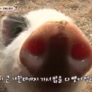 민지 농장 이미지