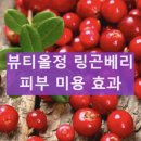 뷰티올정 링곤베리 효능 화이트닝정 내돈내산 후기 부작용 복용법