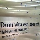 서울엘내과의원 | 네 번째 각막이식 수술합니다.(수술 경위와 사전 준비 내용을 담았습니다)