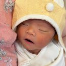 수목한의원 | 경산모 결한방산후조리원 6박 7일 후기