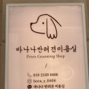 바나나 반려견 미용실 | 일산 반려동물미용 바나나반려견미용실에서 원데이클래스 받을 후기(feat. 천연아로마가려움수분보습젤)