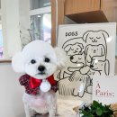 부띠끄멍 이미지