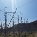 천곡농원