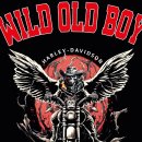 WILD OLD BOY 6윌30일 투어영상 이미지