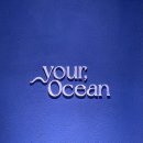 오션피드 | [유어오션] 쇼룸 방문 / 웨딩링 계약 후기