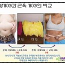 TEAM-K MMA GYM 이미지