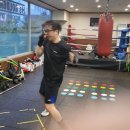 골든보이 복싱짐 이미지