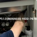 벅스코 이미지