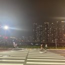 렛츠(Lets)헤어 | 2022 펜타포트 락 페스티벌 2일권 후기 준비물 / 8월 - 2