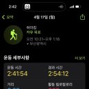 킴브로스피자파스타 이미지