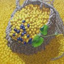 우1동-10 이미지