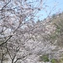 덕동마을회관 이미지